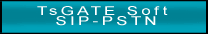 TsGATE Soft SIP-PSTN